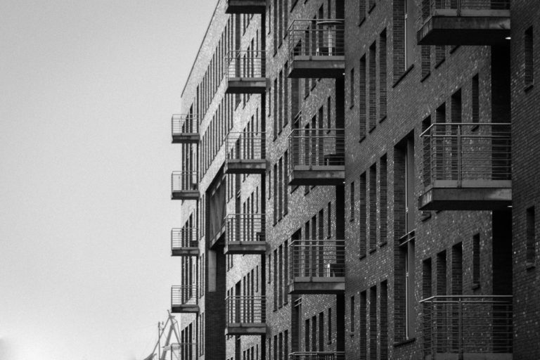 DSC_2557
