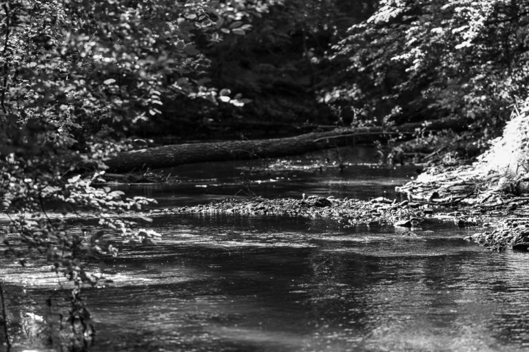 DSC_0165