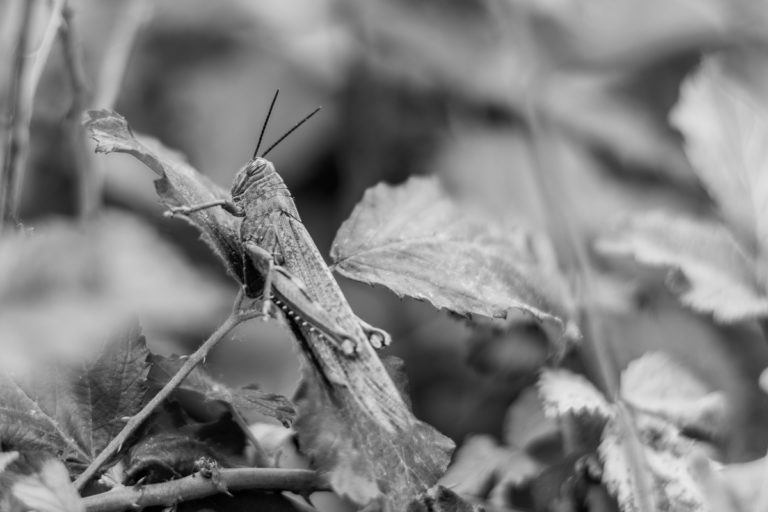 DSC_5127