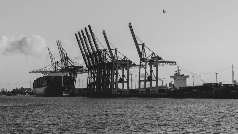 DSC_3684
