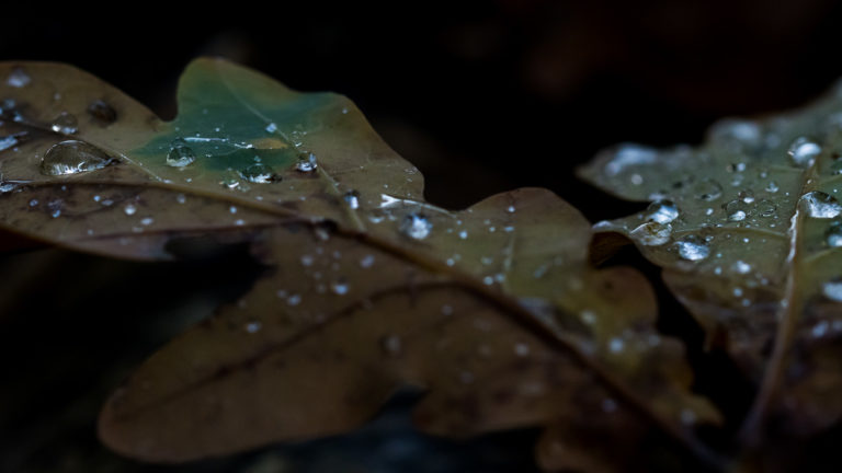 DSC_0028