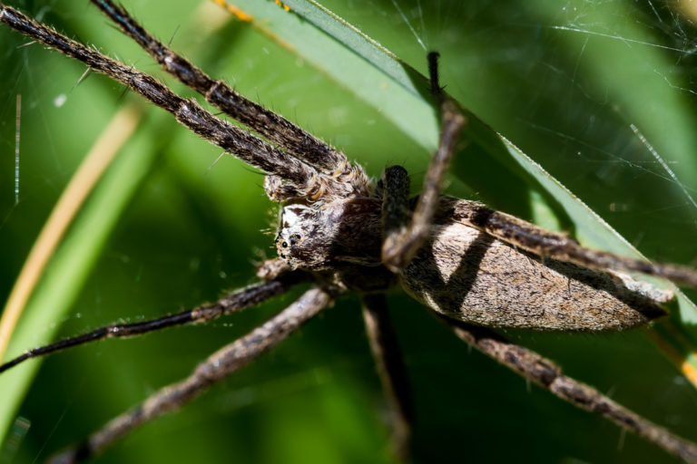 DSC_2990